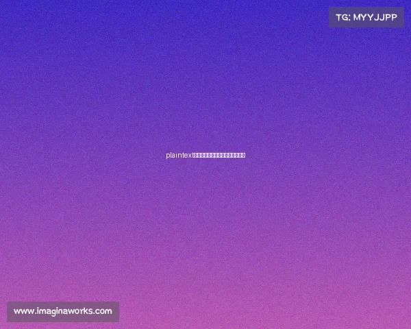 plaintext光环下的代价：电竞选手生存实录